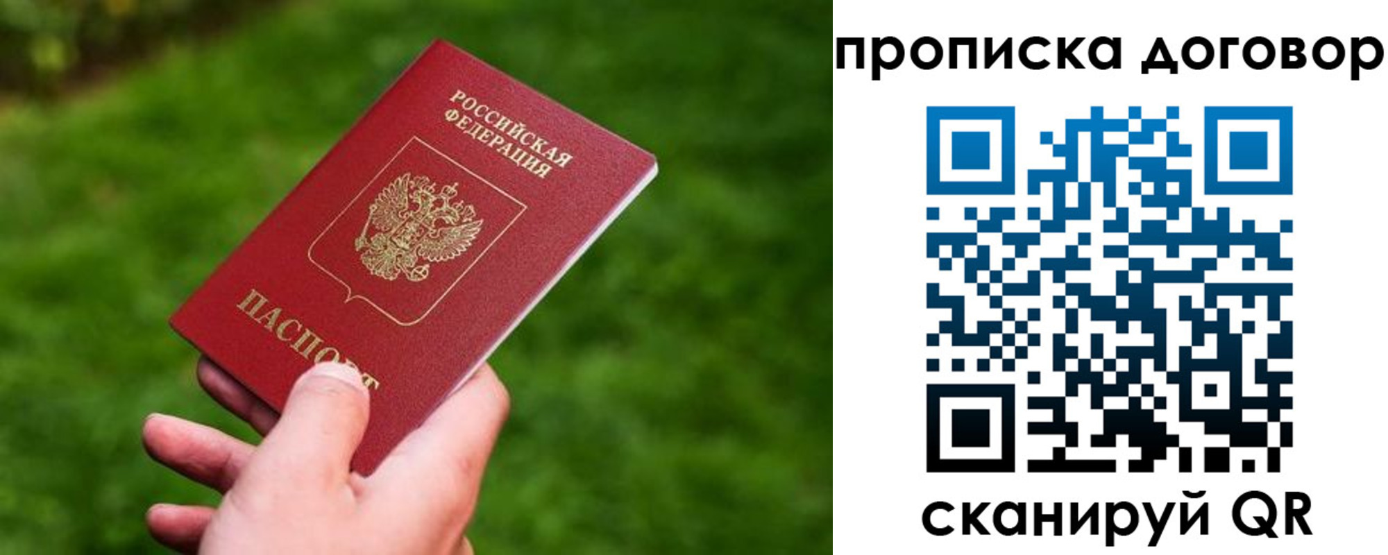 прописка гарантия в Тосно
